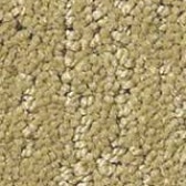Gold Carpet Flooring - Floor Coverings International Flower Mound
