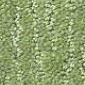 Green Carpet Flooring - Floor Coverings International Flower Mound